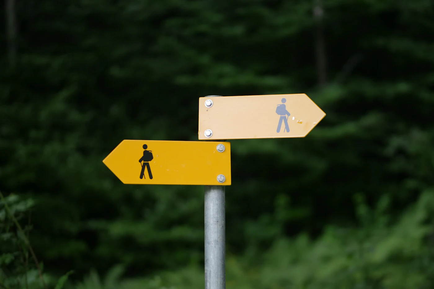 Wegweiser mit mehreren Richtungen als Symbol für die Wahl der passenden Domainendung